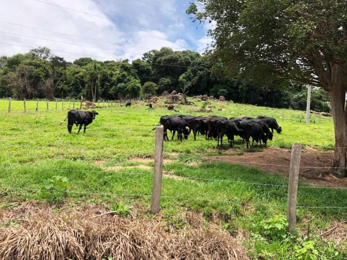 Sitio No Interior De Sp Para Curtir A Natureza Águas da Prata Esterno foto